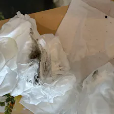 クチコミ画像