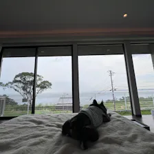 クチコミ画像