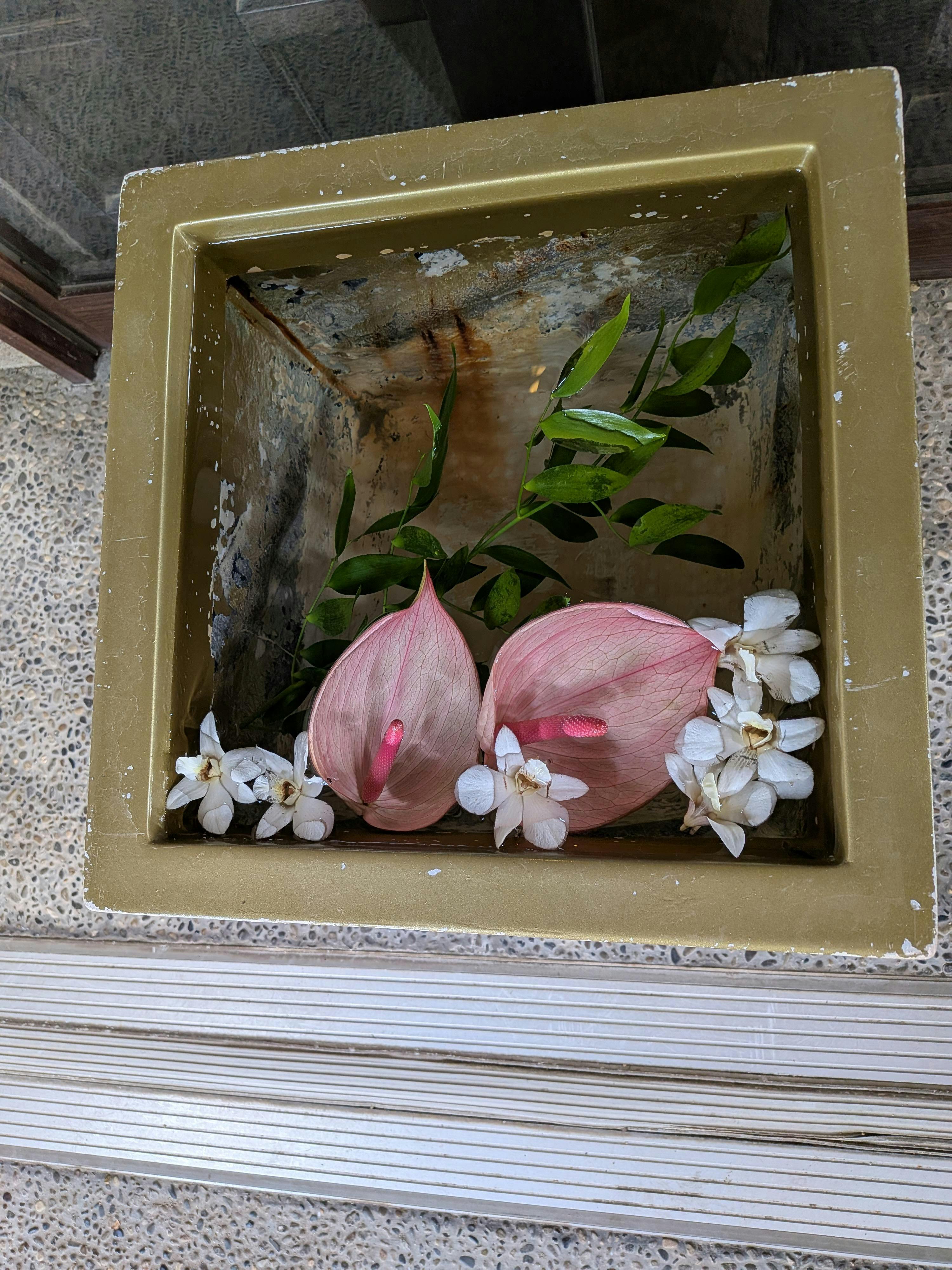 クチコミ画像