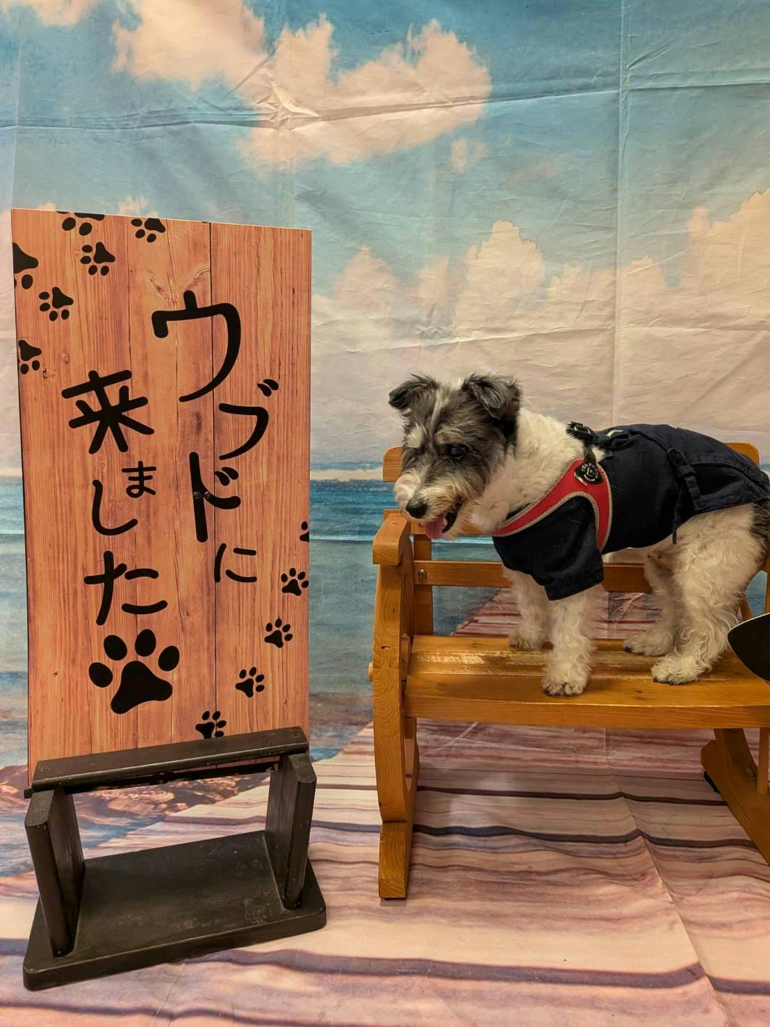 クチコミ画像