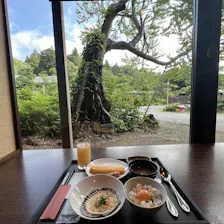 クチコミ画像