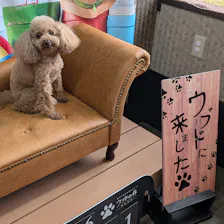 クチコミ画像