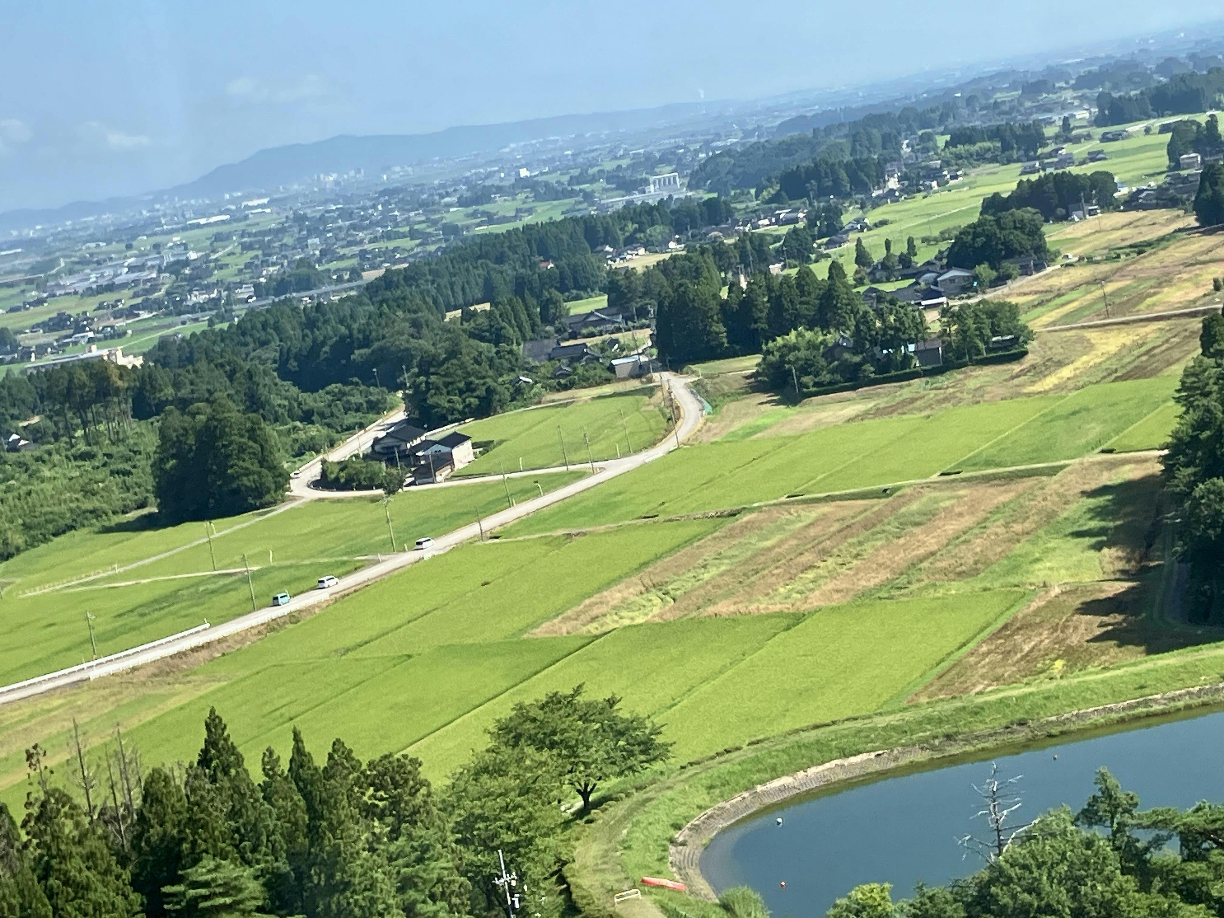 クチコミ画像