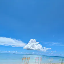 クチコミ画像
