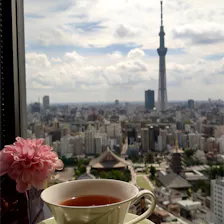 クチコミ画像