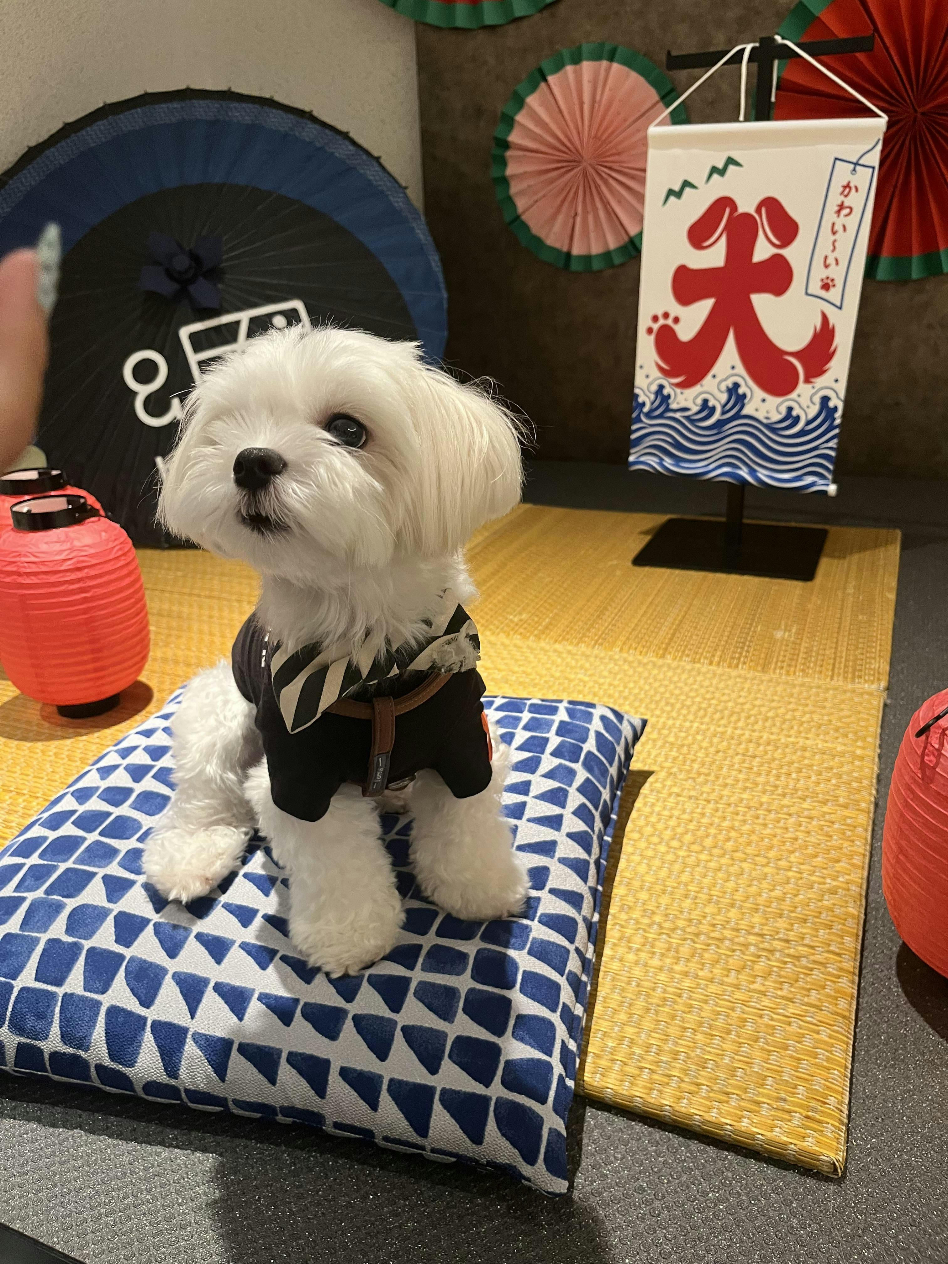 クチコミ画像