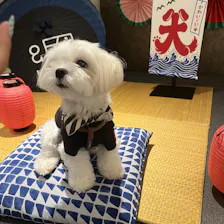クチコミ画像