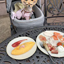 クチコミ画像