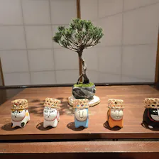 クチコミ画像