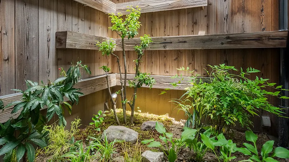 Kakuchi Suou-an <Whole Townhouse Rental>