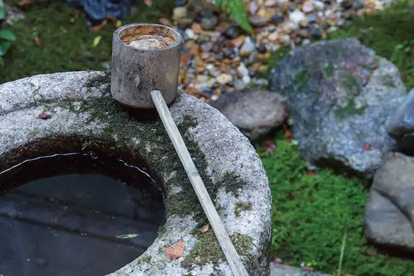 สวนเล็ก