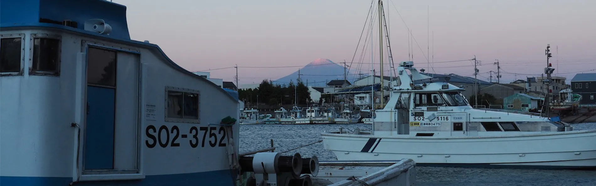 日本色 NIHON IRO