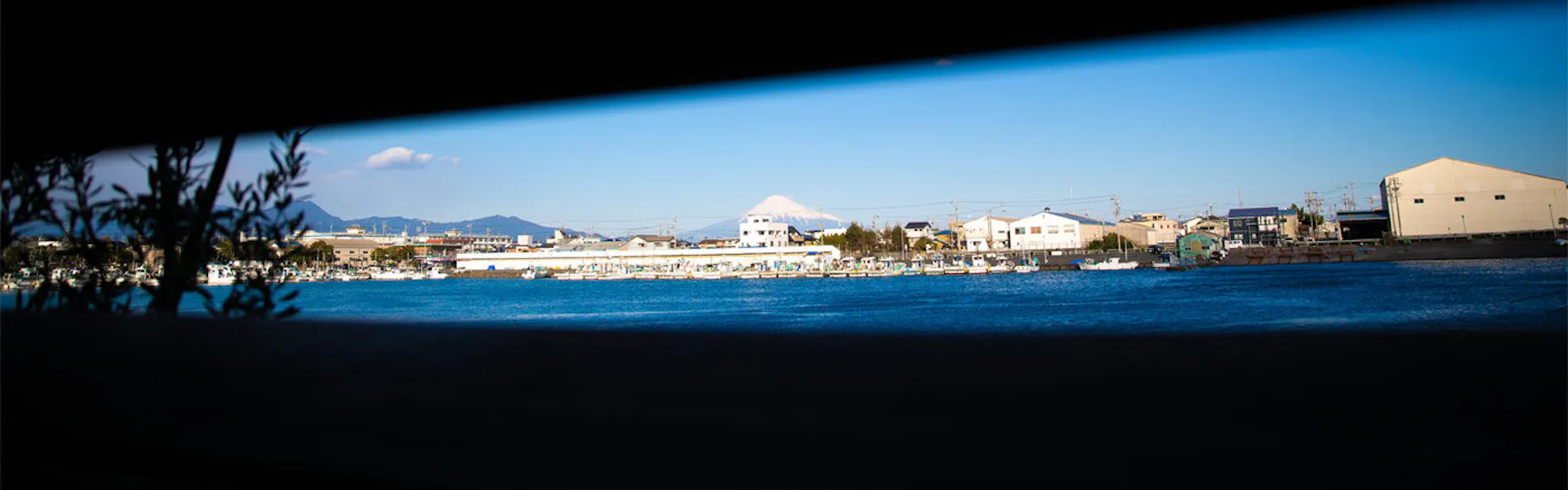 日本色 NIHON IRO