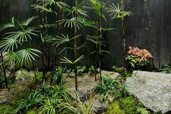 ลานกลาง