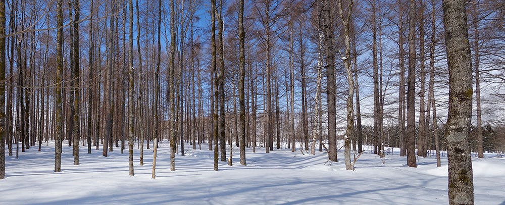 画像（d_ss04.jpg）がこちらに表示されていないため、翻訳する日本語本文を確認できません。  
d_ss04.jpg をアップロードするか、画像内の日本語テキストをそのまま貼り付けてください。