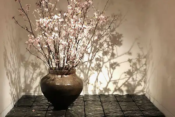 การจัดวาง