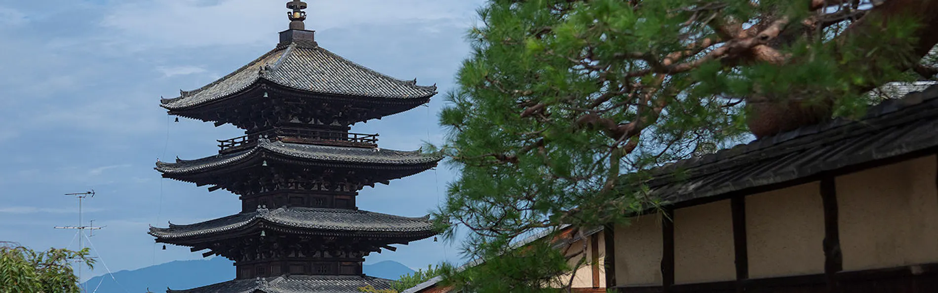 CAMPTON KIYOMIZU
