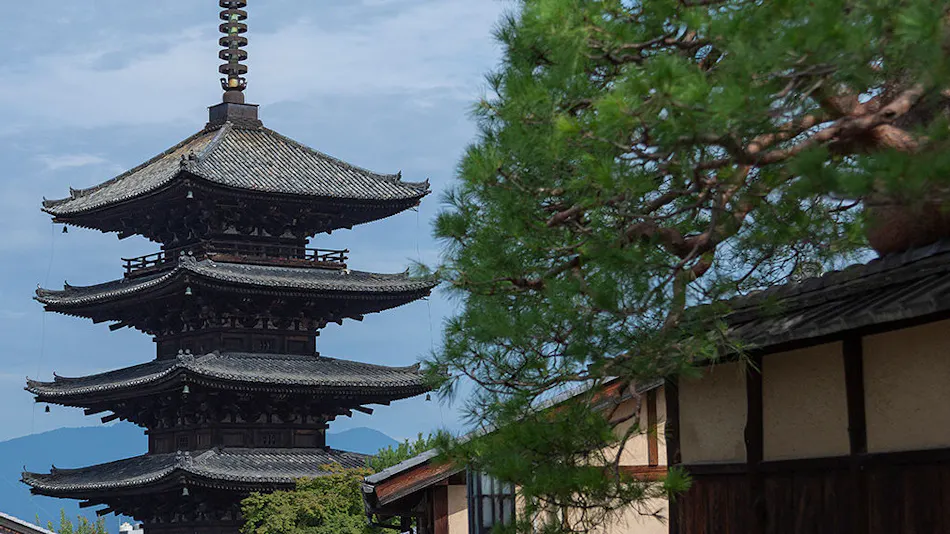 CAMPTON KIYOMIZU