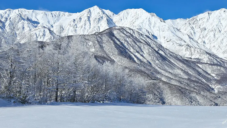 Hakuba Hatago Maruhachi
