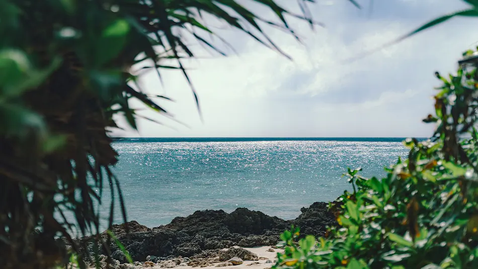 BLANC MIYAKOJIMA
