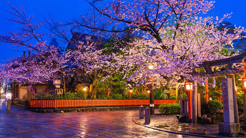 Sumihotaru Honoka <Whole Townhouse Rental>