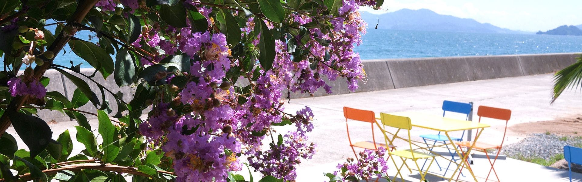 ダイアリー大芝島