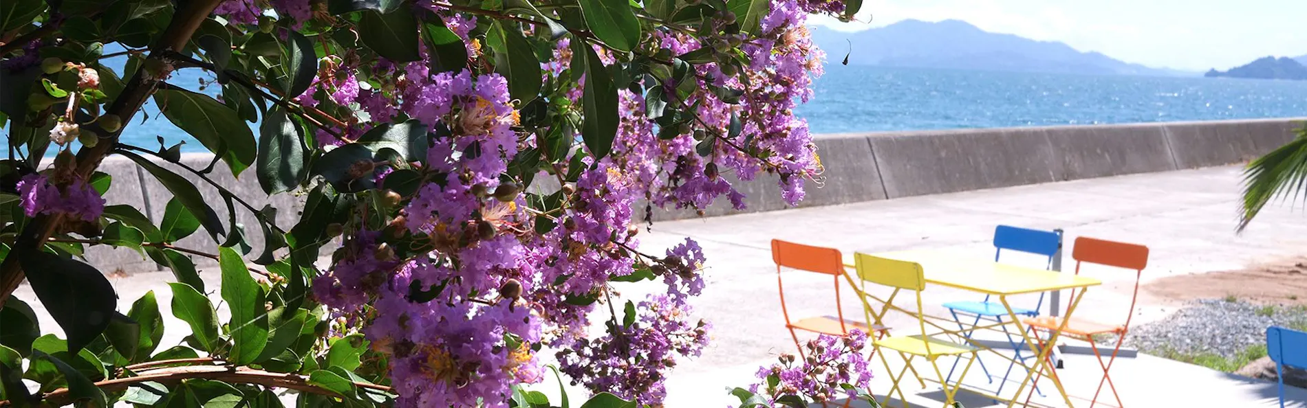 ダイアリー大芝島