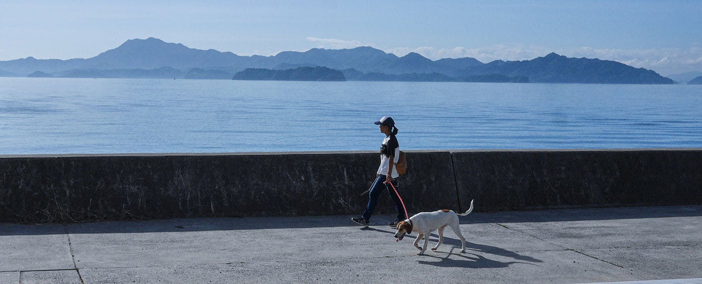 ทิวทัศน์