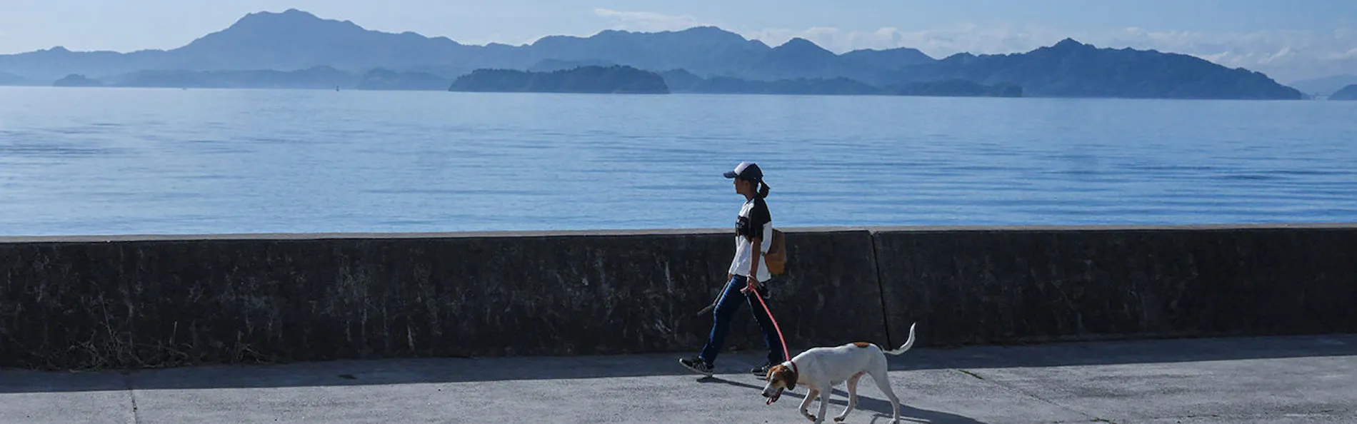 ダイアリー大芝島