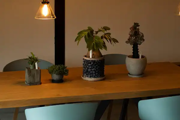 ตัวอย่างห้องพัก