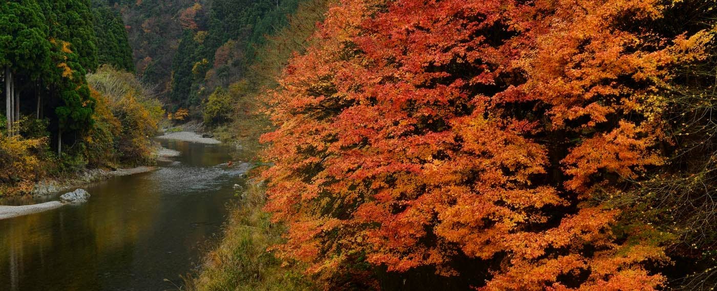 MIYAMA STAY（美山ステイ）