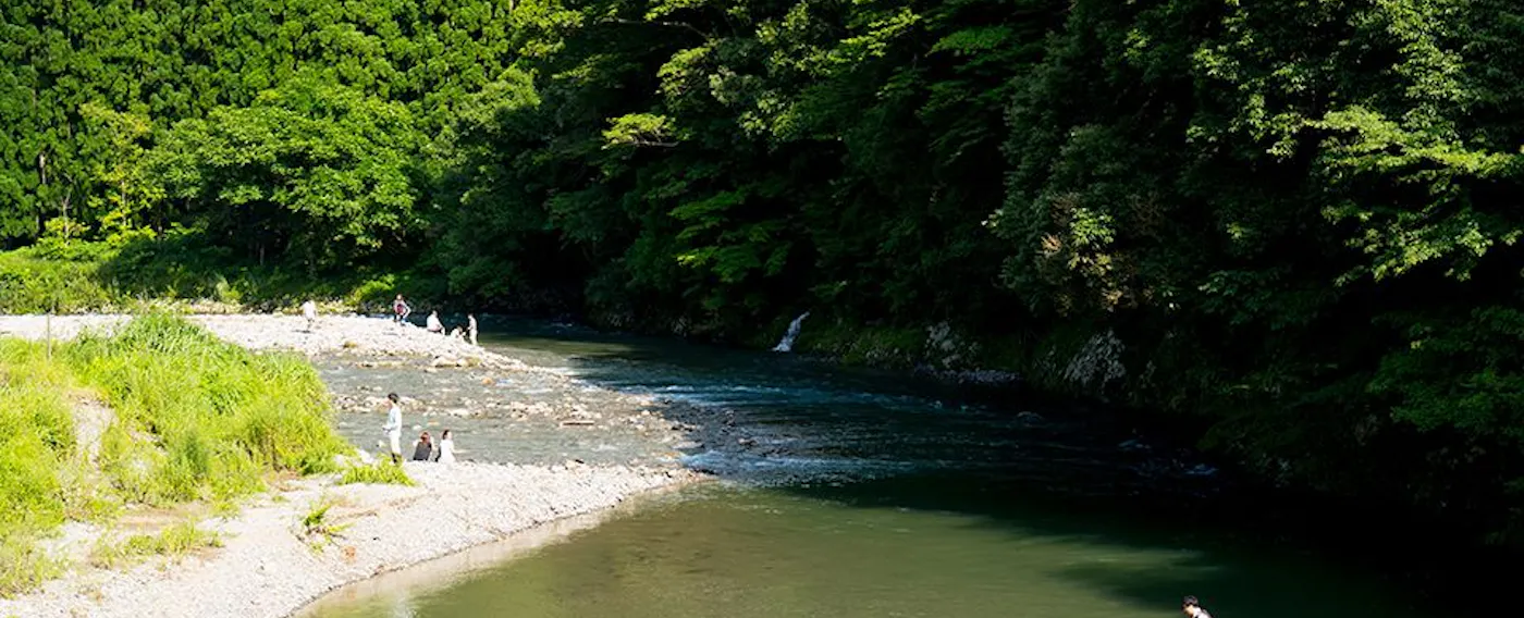 隣接する由良川(美山川)