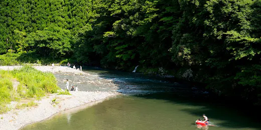 ミヤマテラス