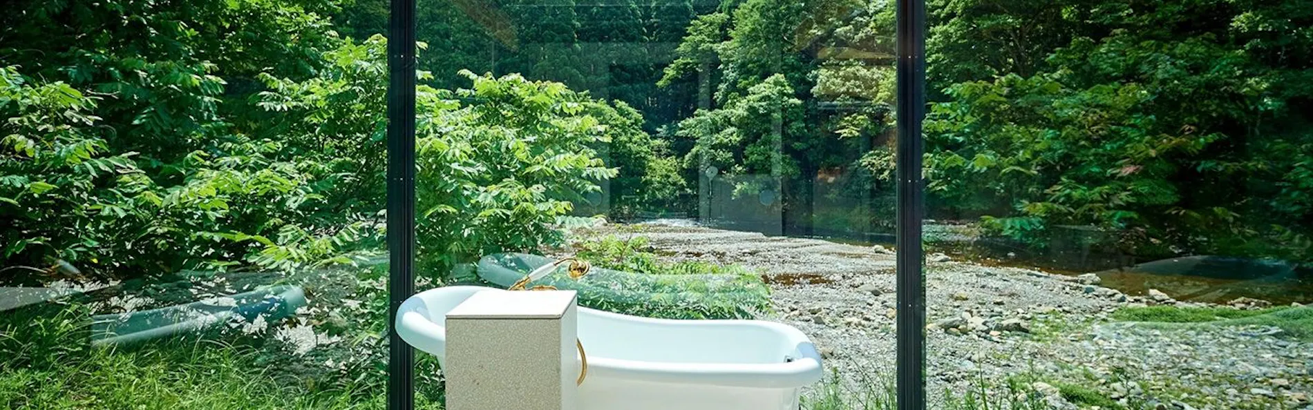 ミヤマテラス