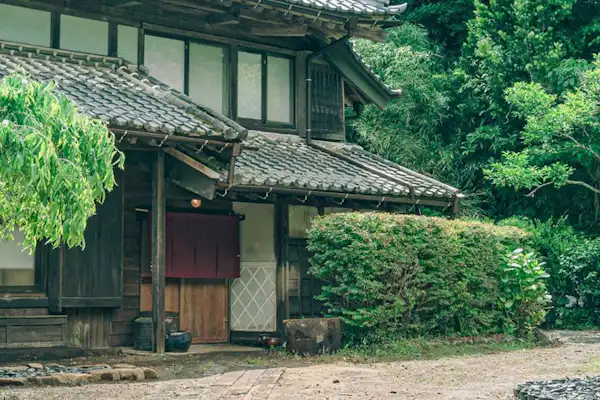 รูปลักษณ์ภายนอก