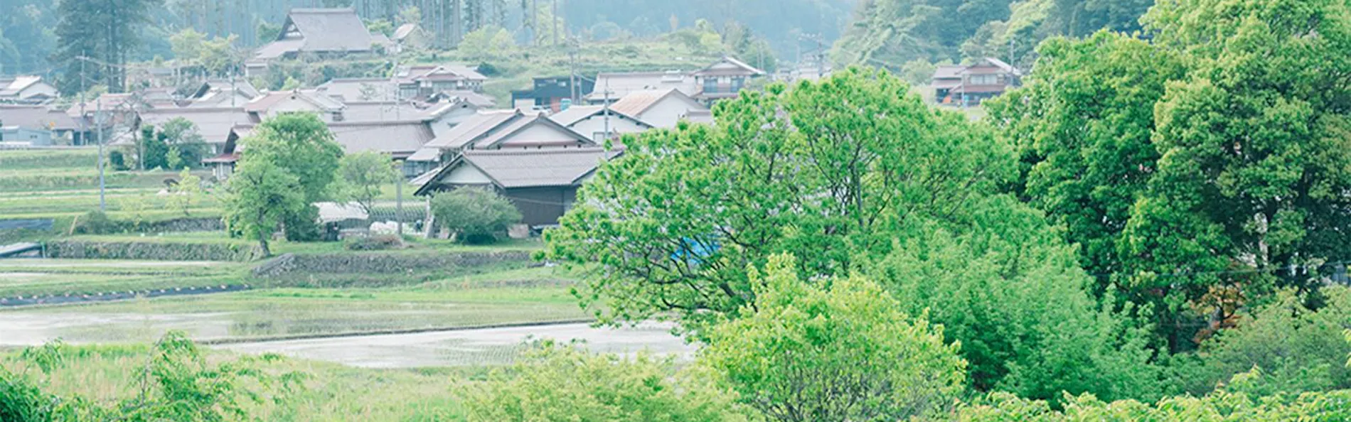 hitaru 石橋邸