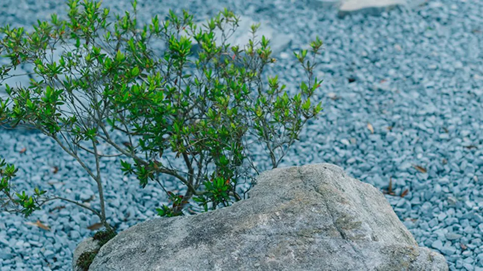 Hitaru Ishibashi Residence