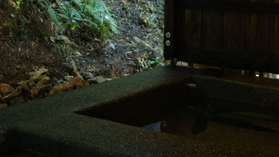 Nakijin Tsuwabuki