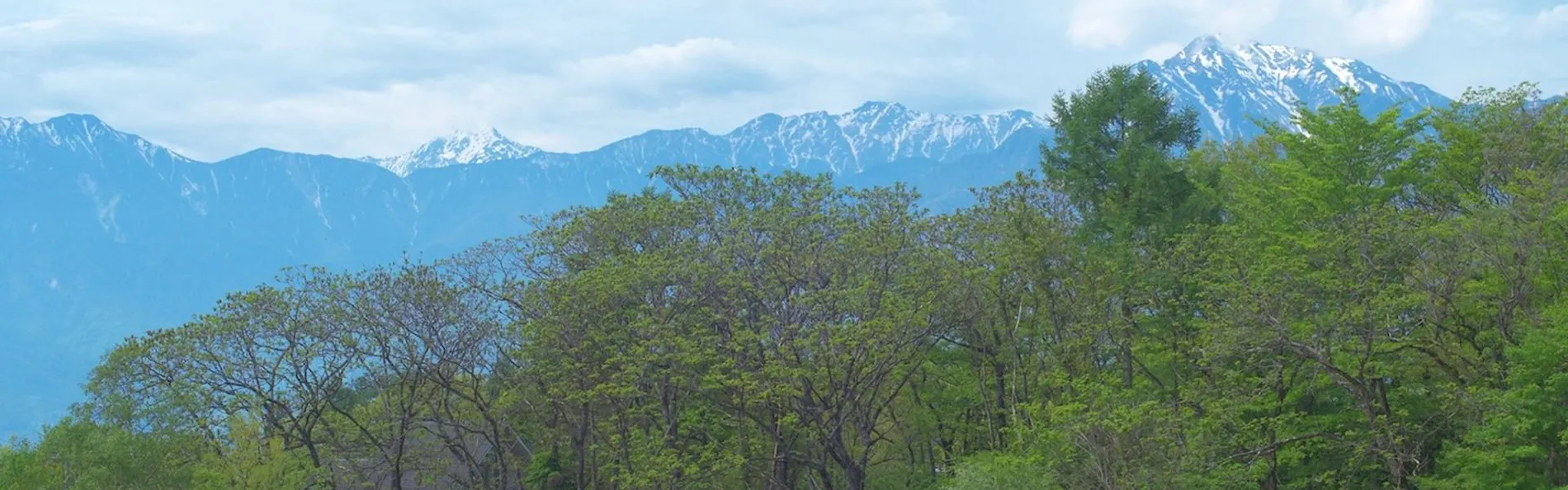 ザ ノマド 八ヶ岳