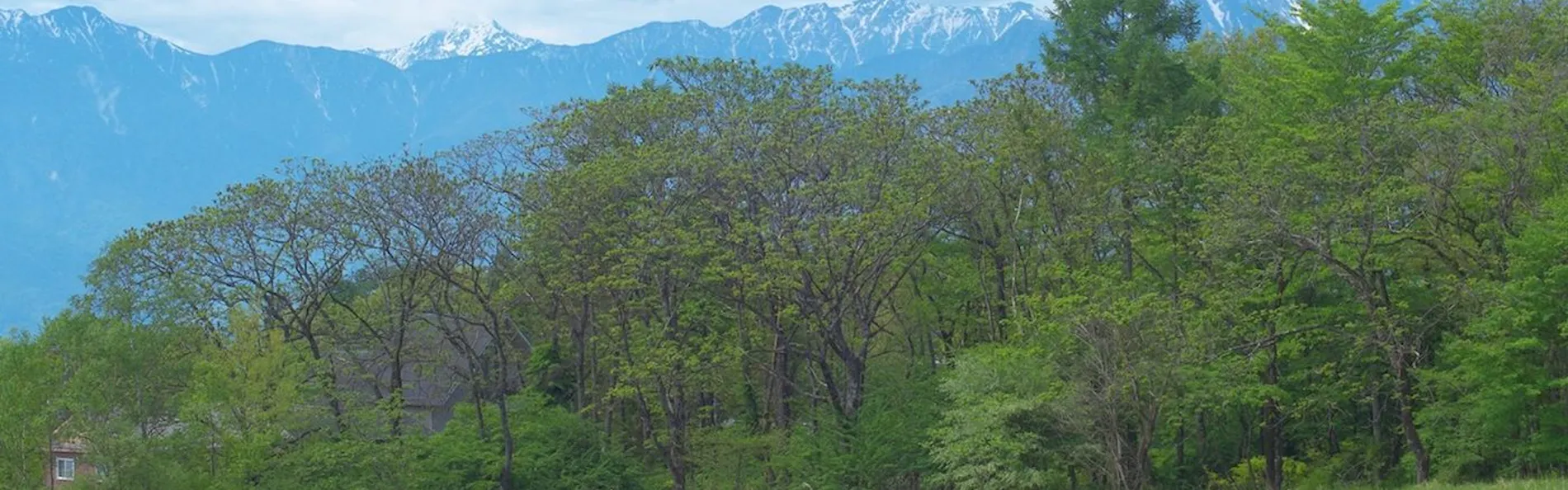 ザ ノマド 八ヶ岳