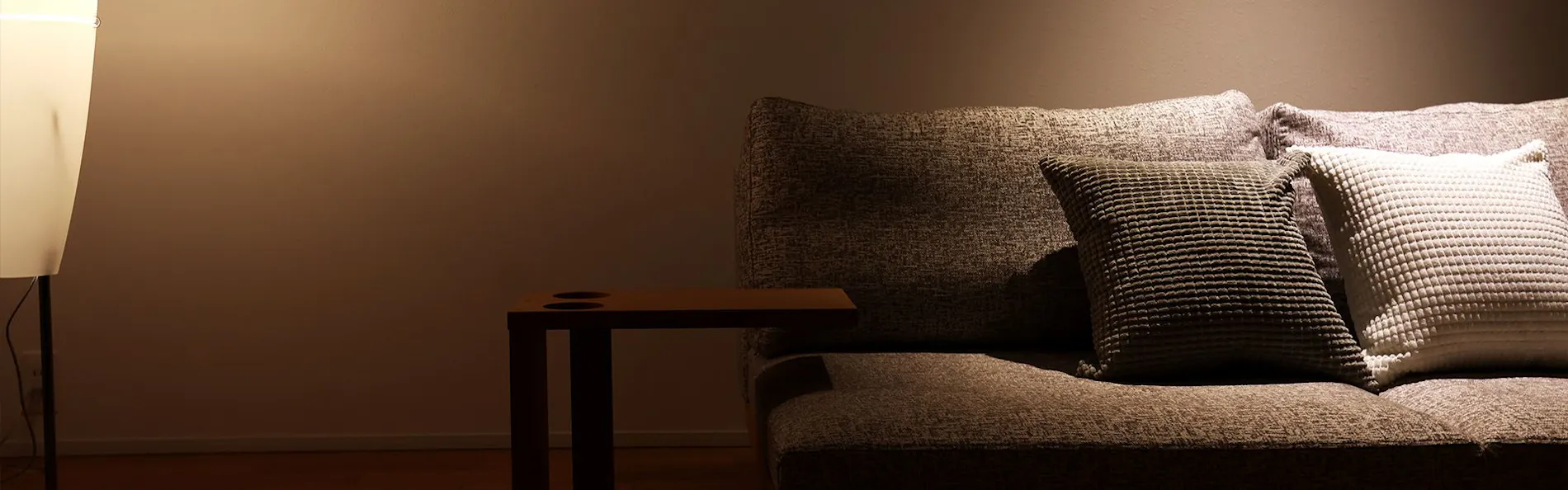 1980 fuji yamanakako