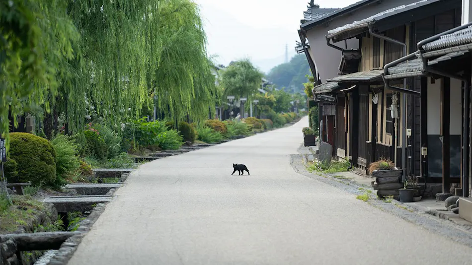 Unno-juku Whole House Rental Inn Joshuya