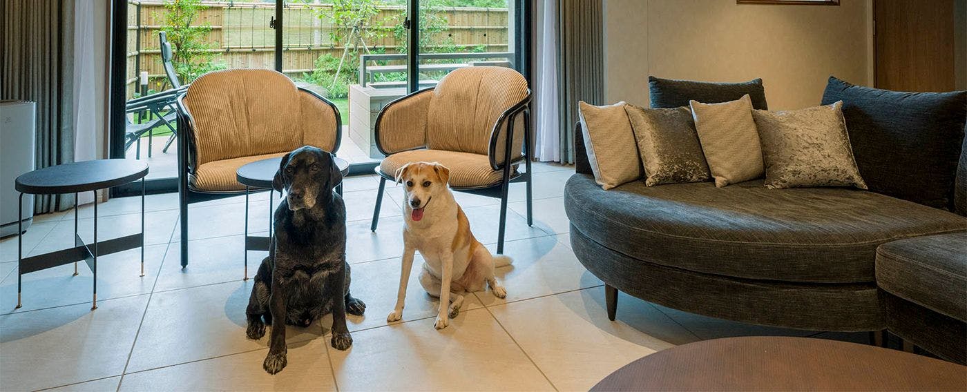 Rakuten STAY TERRACE Hakone Kowakudani