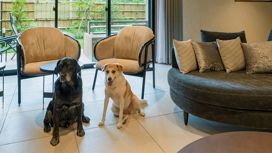 Rakuten STAY TERRACE Hakone Kowakudani