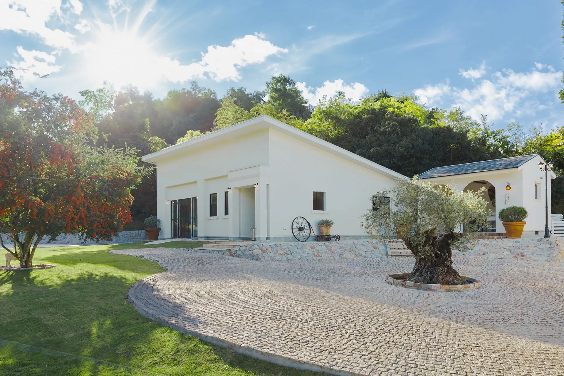 The dog villa Olive