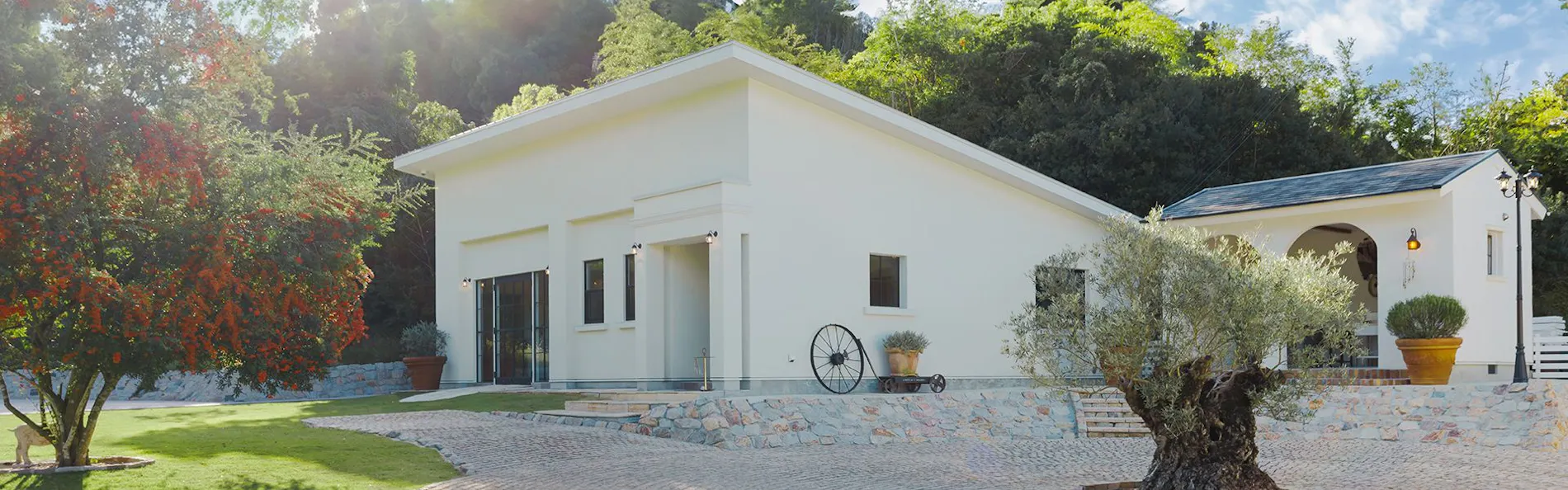 The dog villa Olive