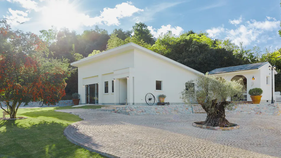 The Dog Villa Olive
