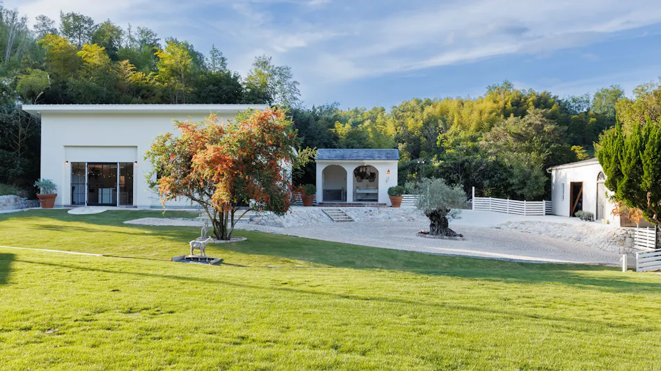 The Dog Villa Olive
