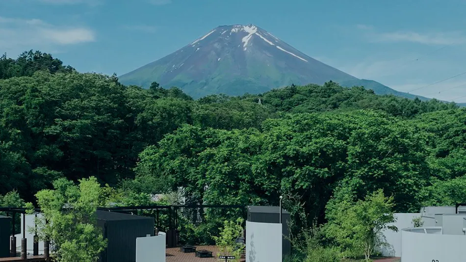 BLANC FUJI