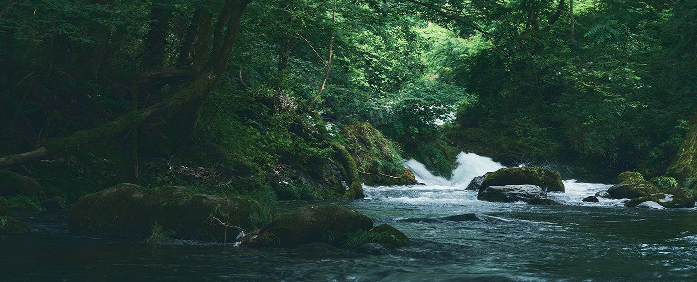 บริเวณโดยรอบ